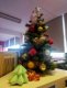 img20251216115852