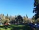 resized_20251126_132950