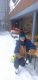 495ae5bb-fbc6-42ae-86c1-59b8f566e747
