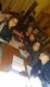 img-20250516-wa0002