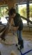 img-20250516-wa0012
