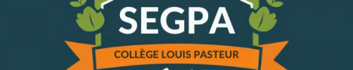 Logo article central