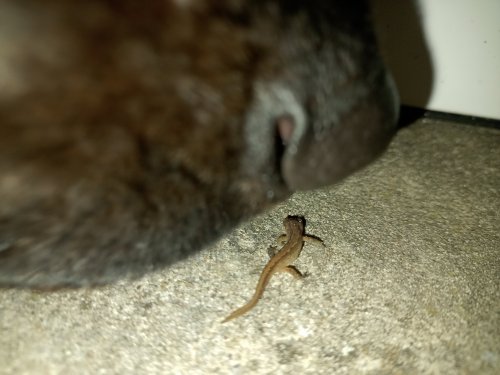img_20251031_212116024