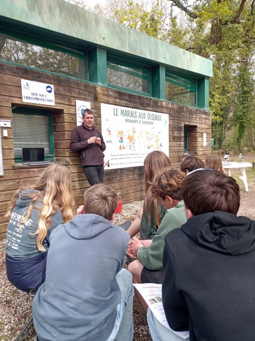 img_20260331_141847534