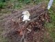 img_20250211_105111673