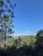 img-20260325-wa0003-2