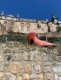 marburg_15