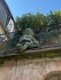 marburg_21