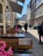 marburg_6