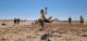 img-20250514-wa0005
