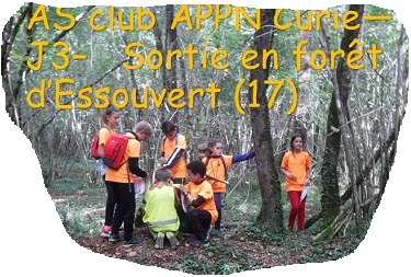 j3_as_co_foret_essouvert_30092020_intro-2