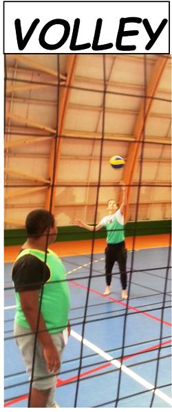 volley_inro-3