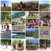 photogrid_1749676425512