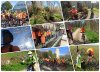 j23_own_raid_190325