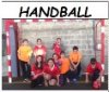 handball_blason100-2
