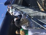 img_2479_1_