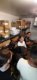 whatsapp_image_2024-06-12_at_10