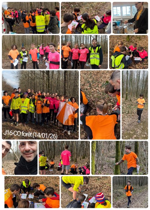 j16_co_foret_140126