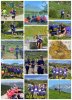 j34_cf_co_montage_2026
