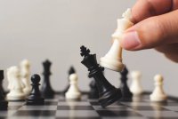Article