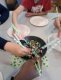 image0000051_8_