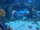 img-20240926-wa0033