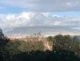 img-20250418-wa0018