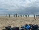 img-20260608-wa0011