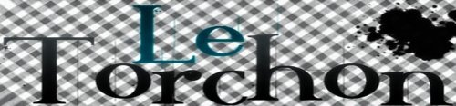 logo torchon
