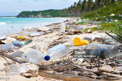 impact_des_dechets