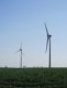 Une partie du parc éolien