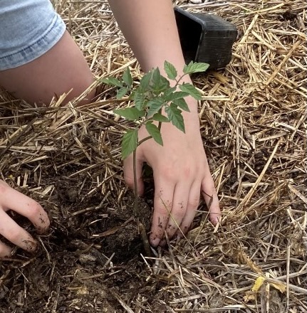 7872078f-a0fa-4c35-bafe-3748f60c752e_1_201_a