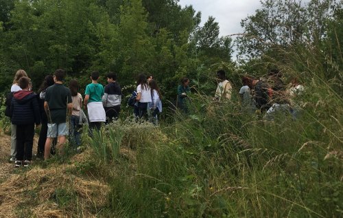 3420e777-8b5f-4b68-87e2-31d53587854b_1_201_a