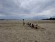 20240905_151528_resized