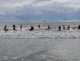 20240905_152441_resized