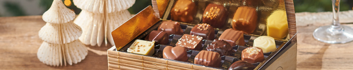 Logo article central