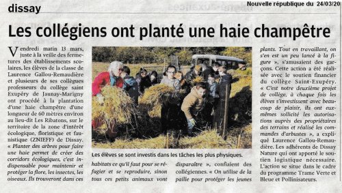 article_haie_champetre_nr_240320