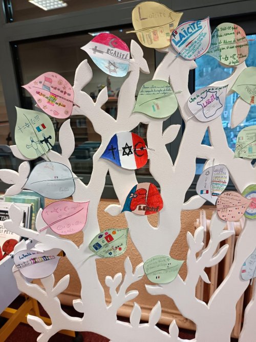 arbre_laicite_2
