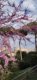 img-20250324-wa0002