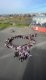 img-20250320-wa0015