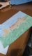 img-20260205-wa0010