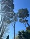 img-20250325-wa0000