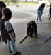 img_20250317_110401