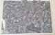 thouars_college_jr_1950-1965