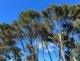 img-20260331-wa0000