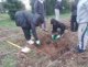 micro_foret_1-2