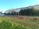 micro_foret_2-2
