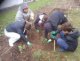 micro_foret_3-2