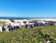 normandie_2