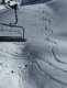 img-20250317-wa0021